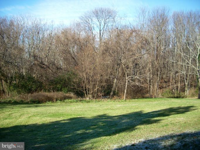 8650 Lees Ridge Road Warrenton, VA 20186 - Photo 17 of 17 View of Back Yard
