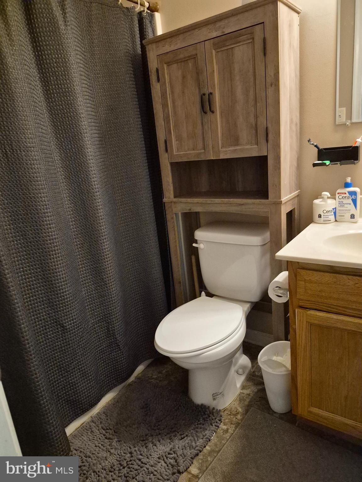 1440 Drummer Hill Road Front Royal, VA 22630 - Photo 32 of 42 a bathroom with a toilet and a sink