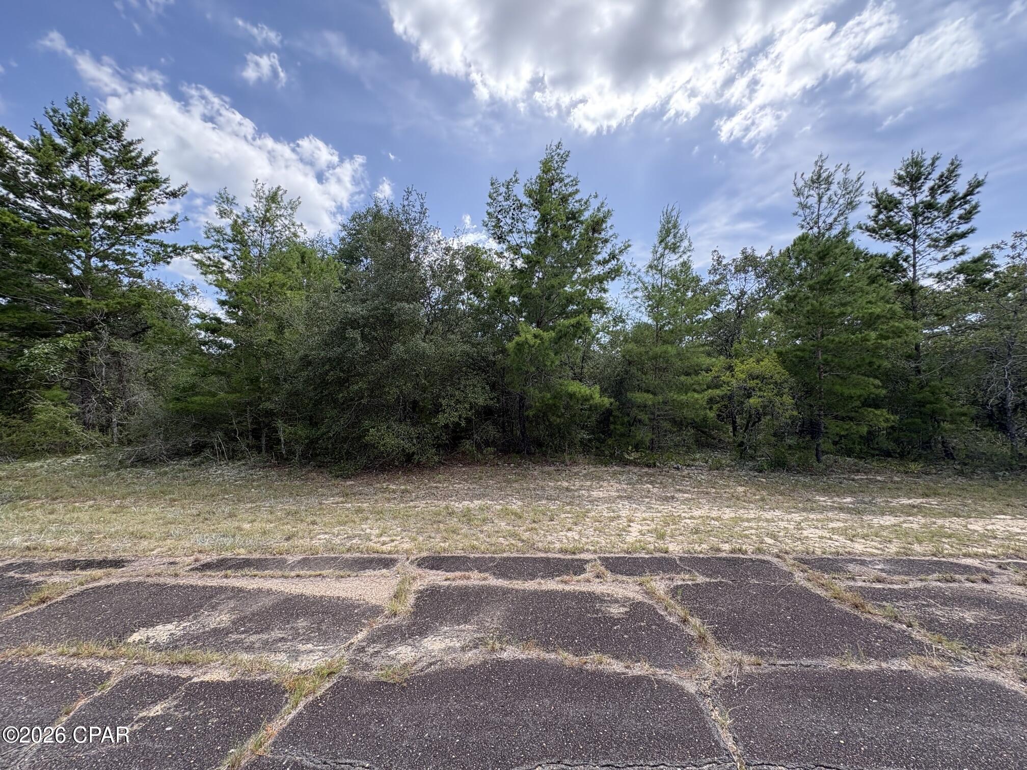 Lot 2 Confetti Place Chipley, FL 32428 - Photo 1 of 5 Gallery Image 1