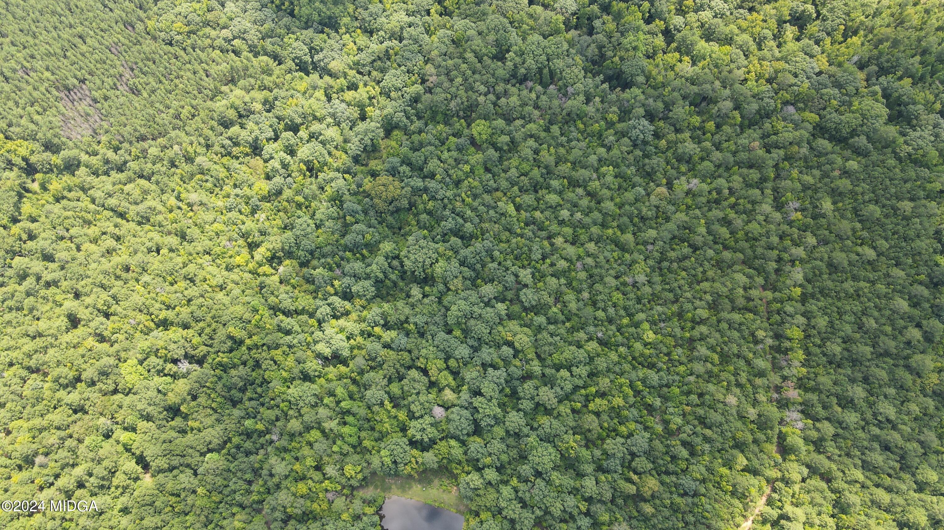 0 Skinner Road Macon, GA 31211 - Photo 2 of 4 DJI_0283