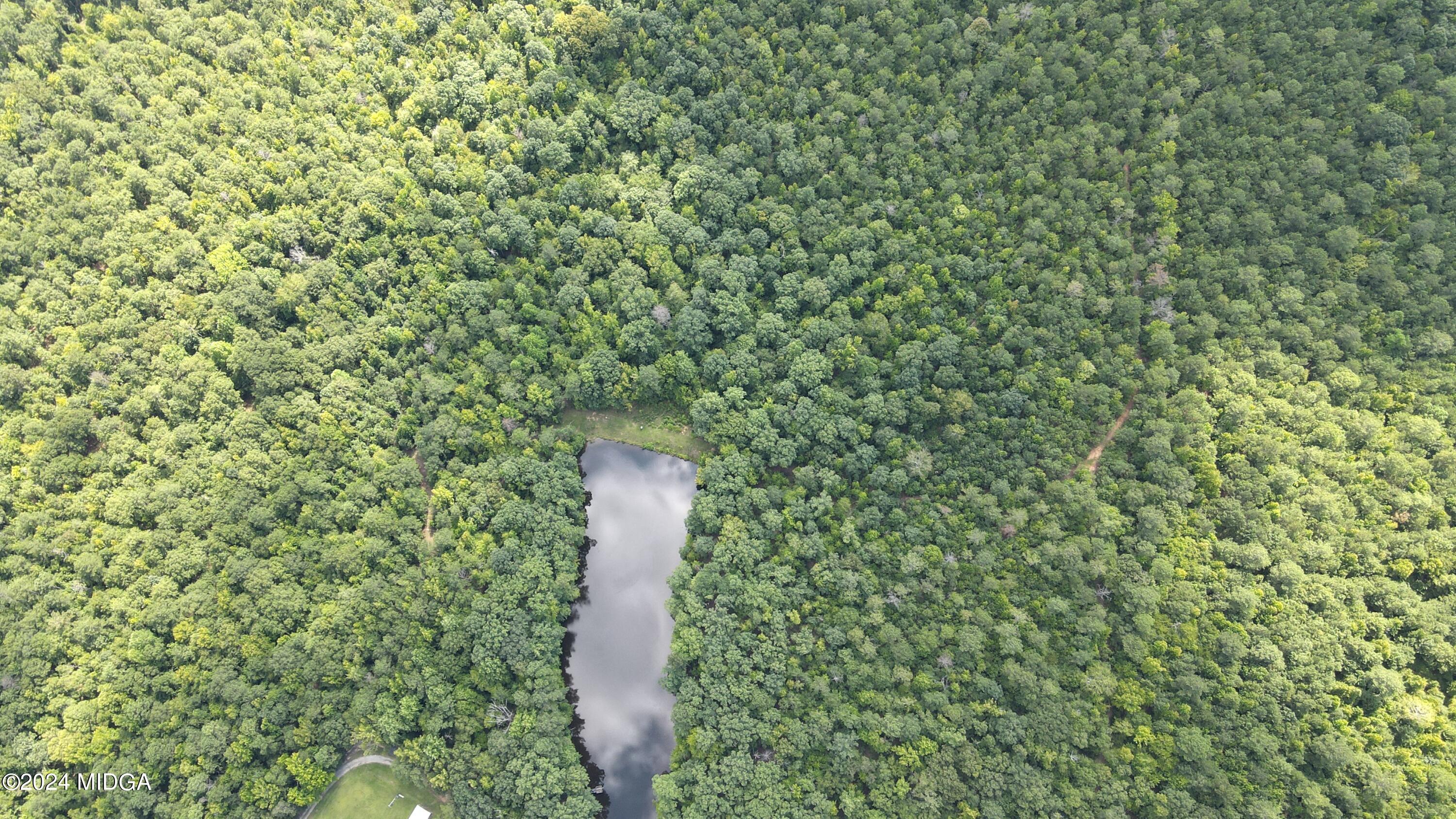0 Skinner Road Macon, GA 31211 - Photo 3 of 4 DJI_0282