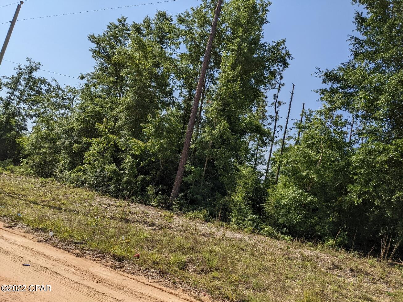 1 Pinecrest Road Fountain, FL 32438 - Photo 3 of 5