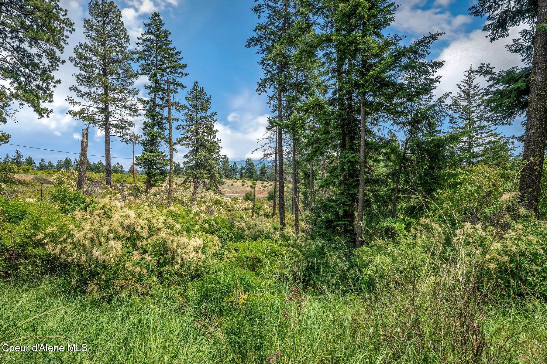 Nka South Bella Vista Road Worley, ID 83876 - Photo 12 of 31 --4.jpg-SMALL