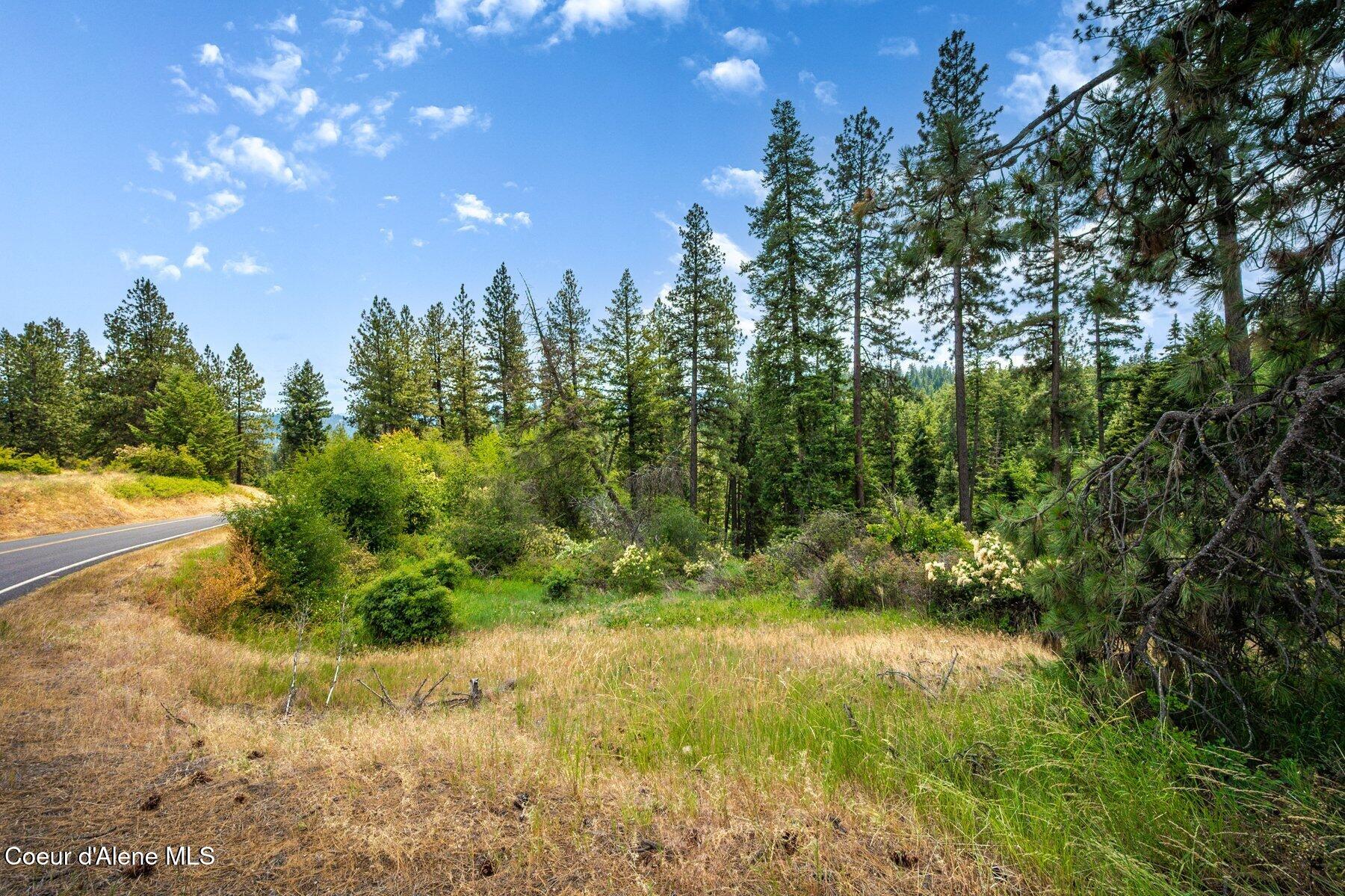 Nka South Bella Vista Road Worley, ID 83876 - Photo 14 of 31 --9.jpg-SMALL