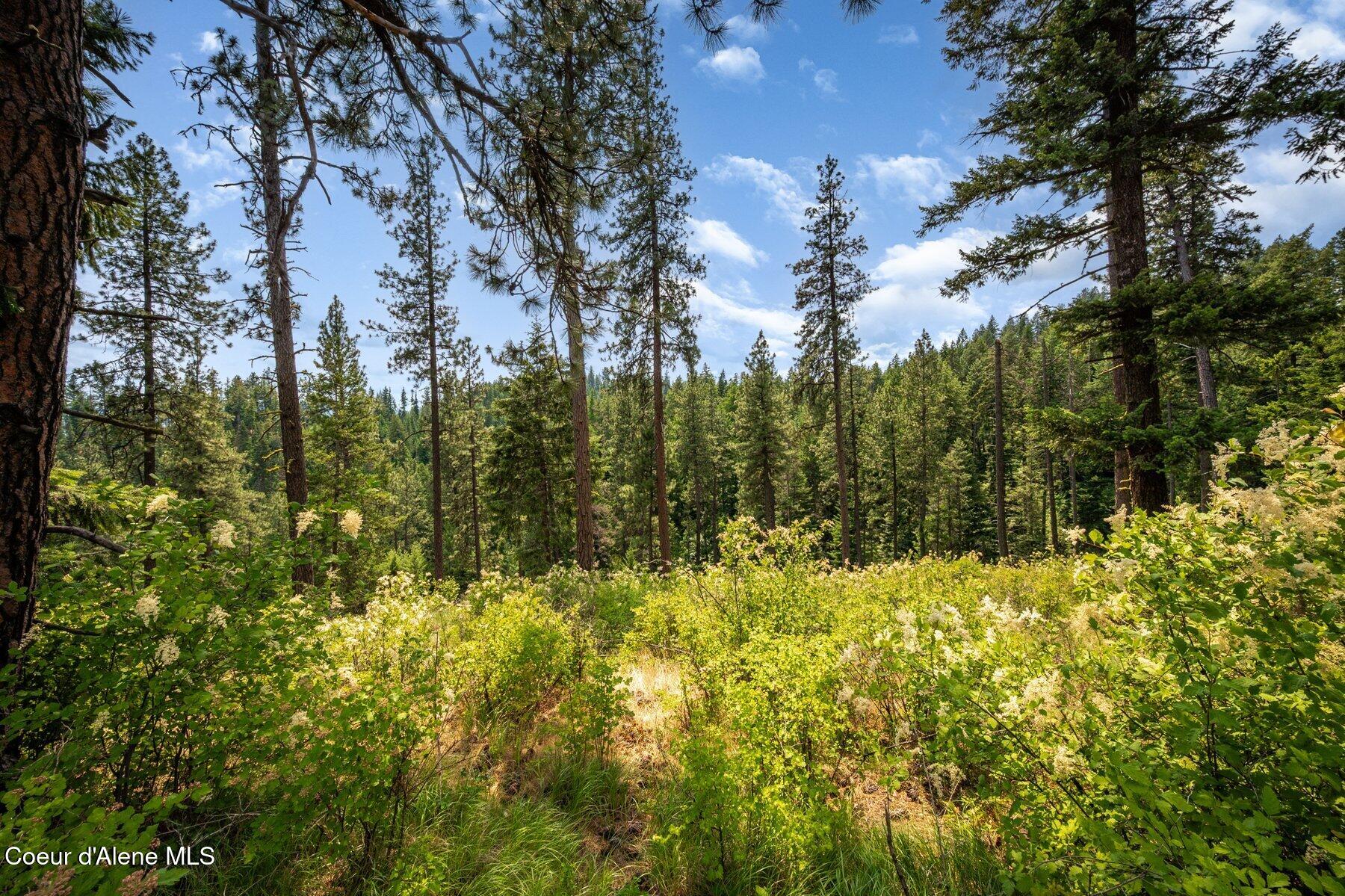 Nka South Bella Vista Road Worley, ID 83876 - Photo 15 of 31 --12.jpg-SMALL