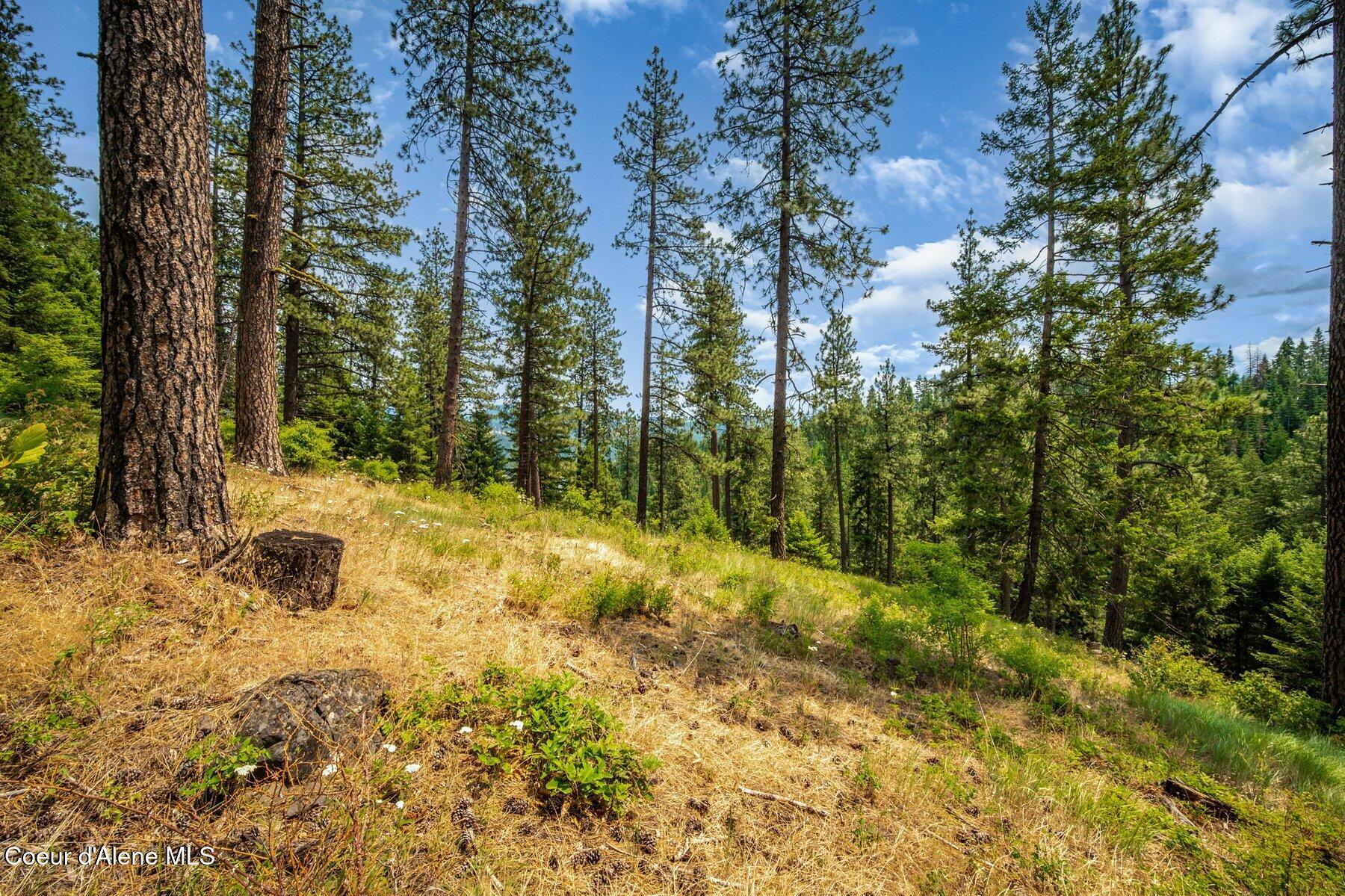 Nka South Bella Vista Road Worley, ID 83876 - Photo 16 of 31 --14.jpg-SMALL