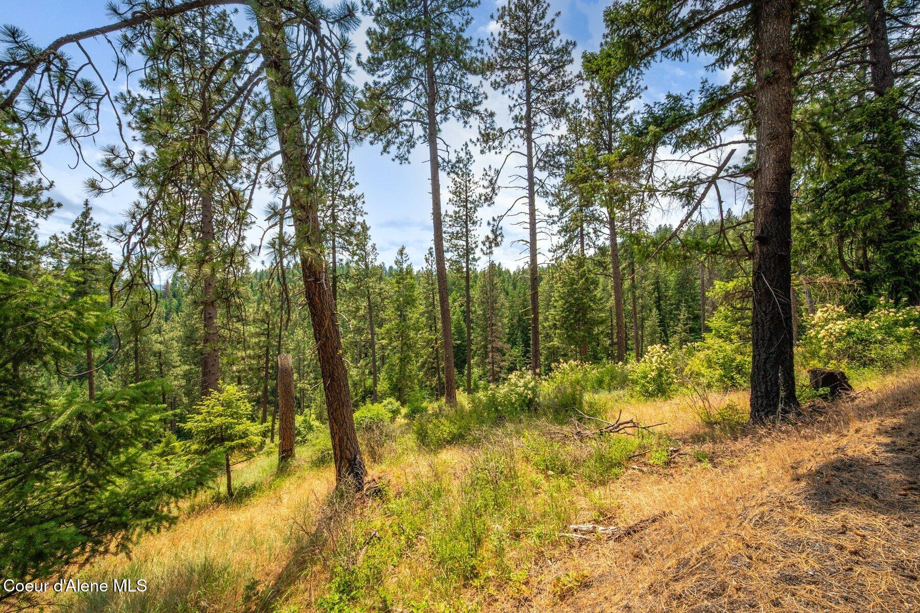 Nka South Bella Vista Road Worley, ID 83876 - Photo 17 of 31 --18.jpg-SMALL