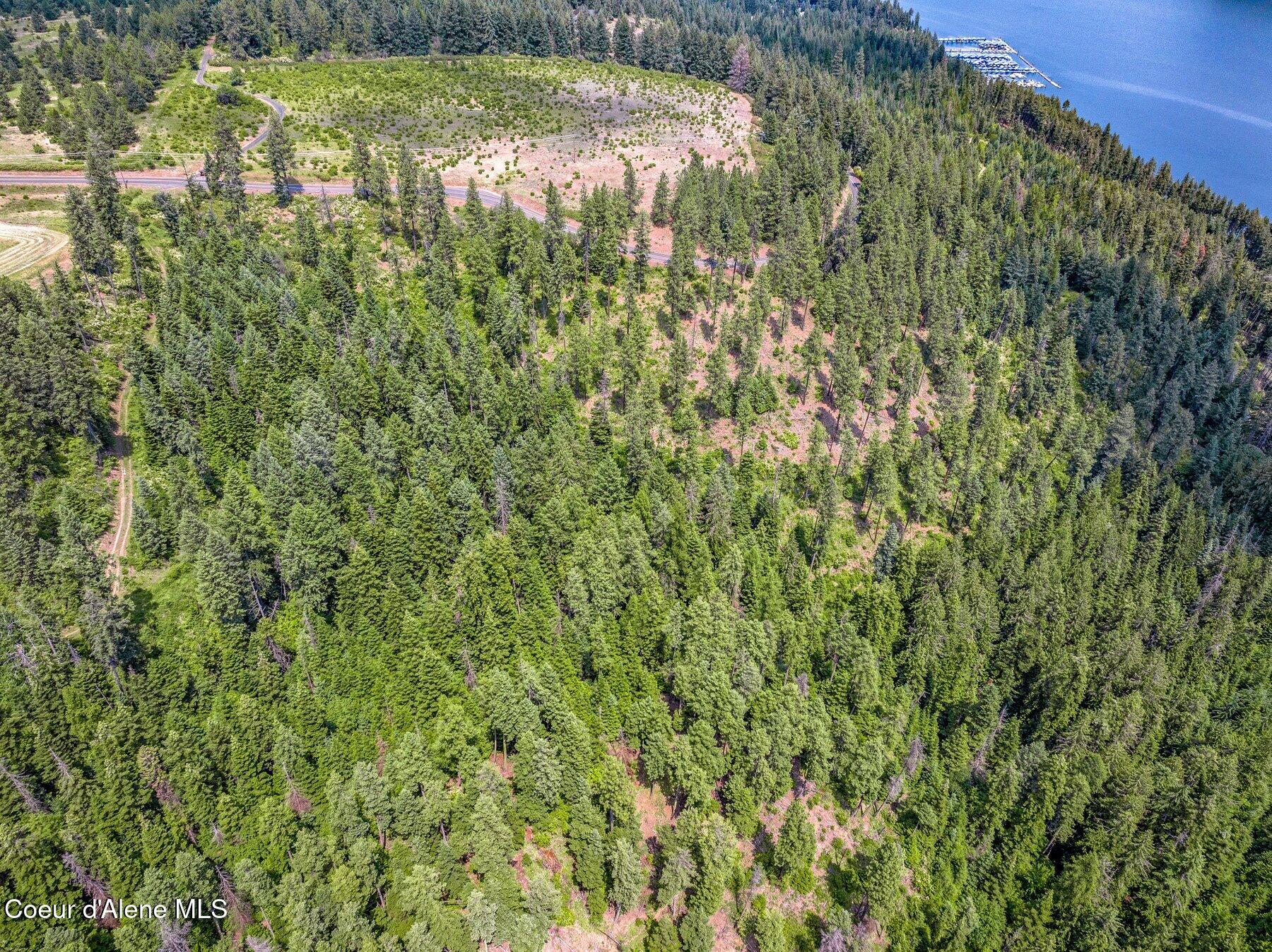 Nka South Bella Vista Road Worley, ID 83876 - Photo 23 of 31 --31.jpg-SMALL