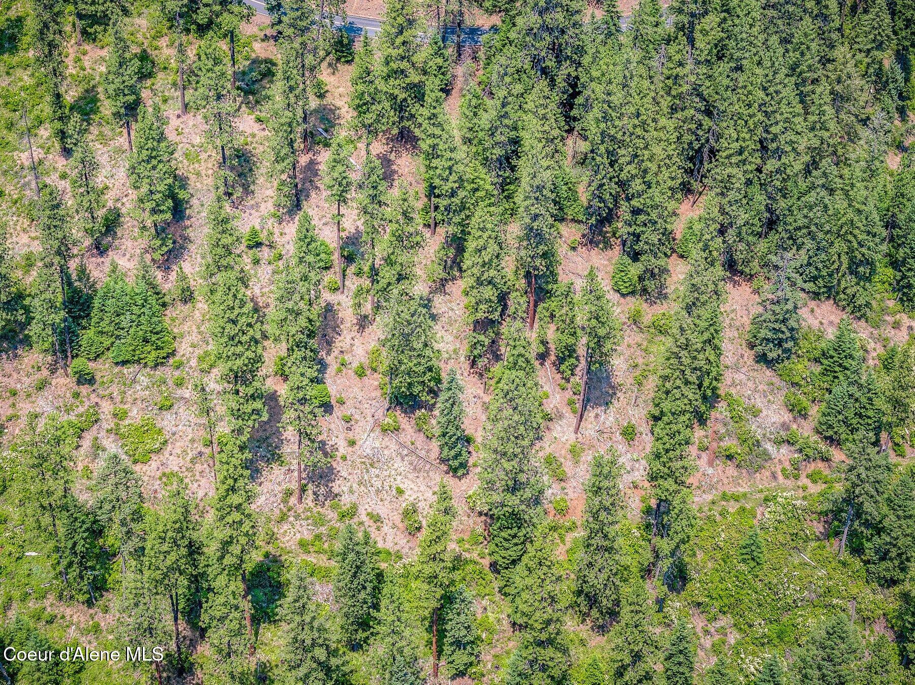 Nka South Bella Vista Road Worley, ID 83876 - Photo 25 of 31 --34.jpg-SMALL