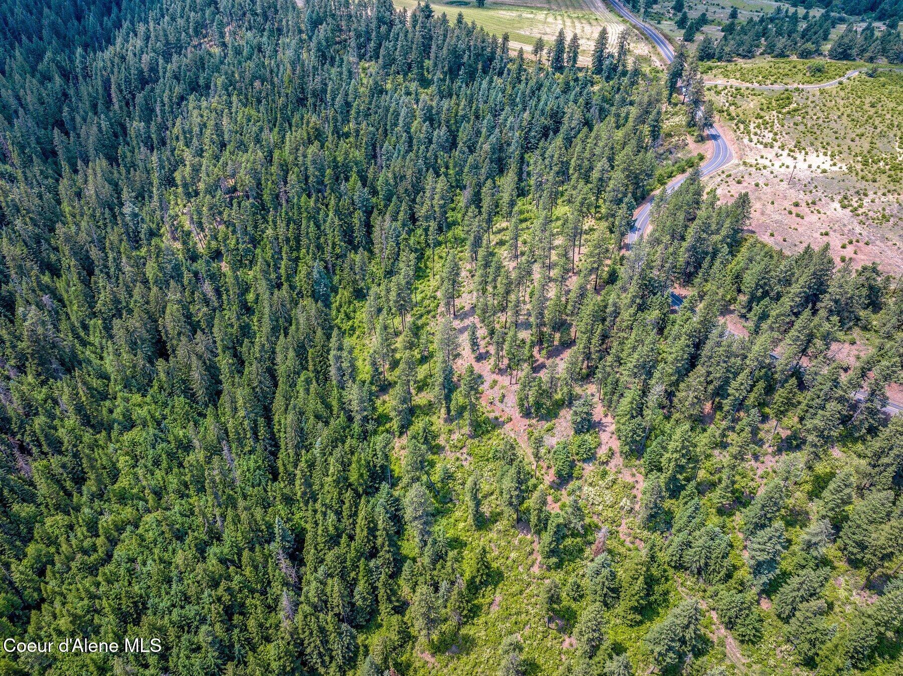 Nka South Bella Vista Road Worley, ID 83876 - Photo 26 of 31 --36.jpg-SMALL