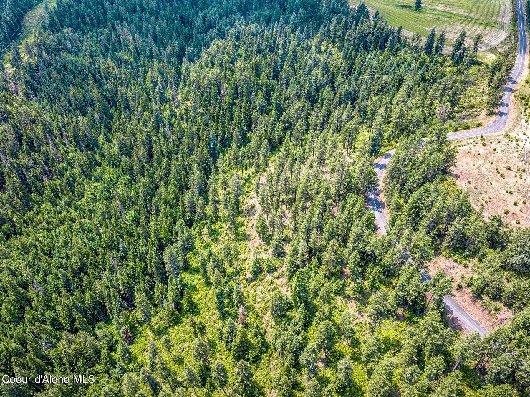 Nka South Bella Vista Road Worley, ID 83876 - Photo 5 of 31 --38.jpg-SMALL