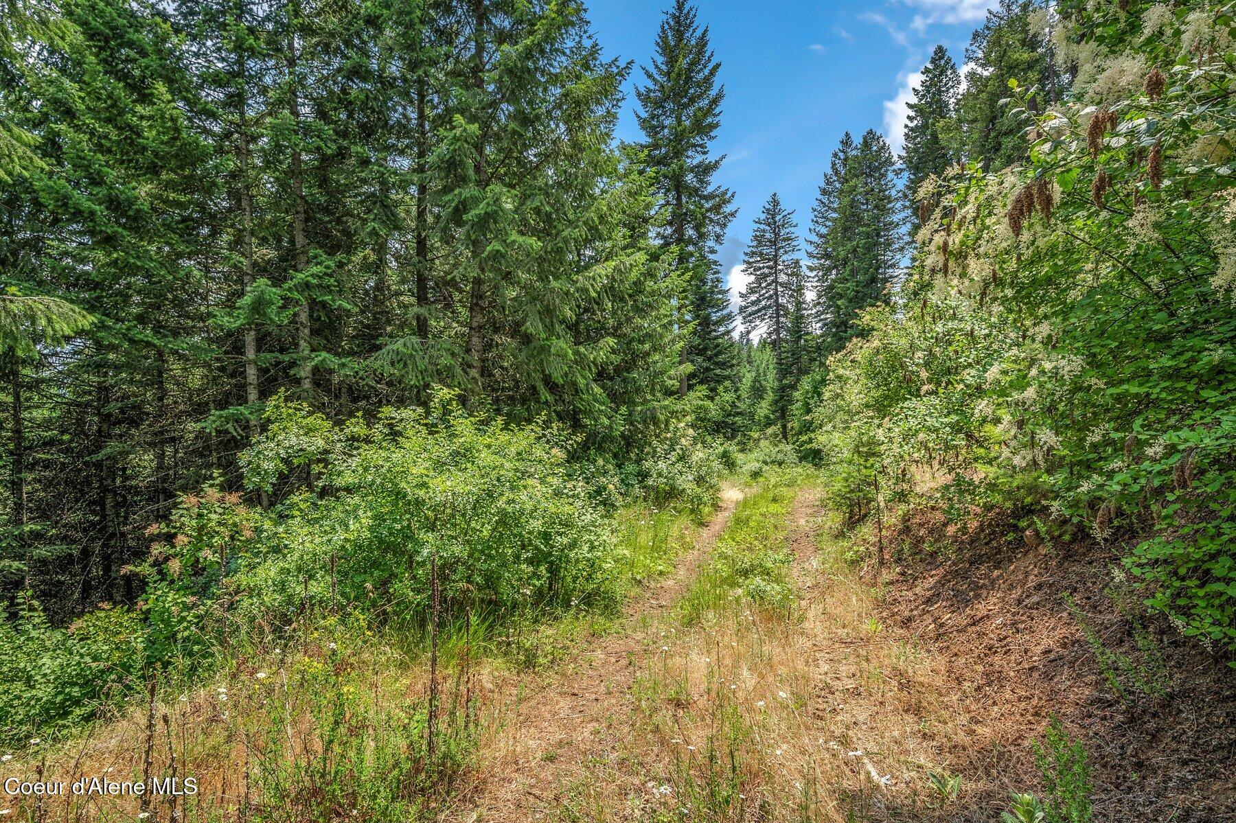 Nka South Bella Vista Road Worley, ID 83876 - Photo 7 of 31 --5.jpg-SMALL