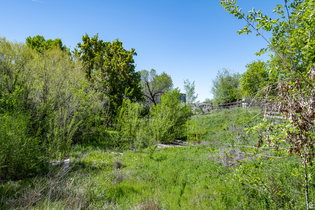 97 South Dawson Street Layton, UT 84041 - Photo 6 of 9