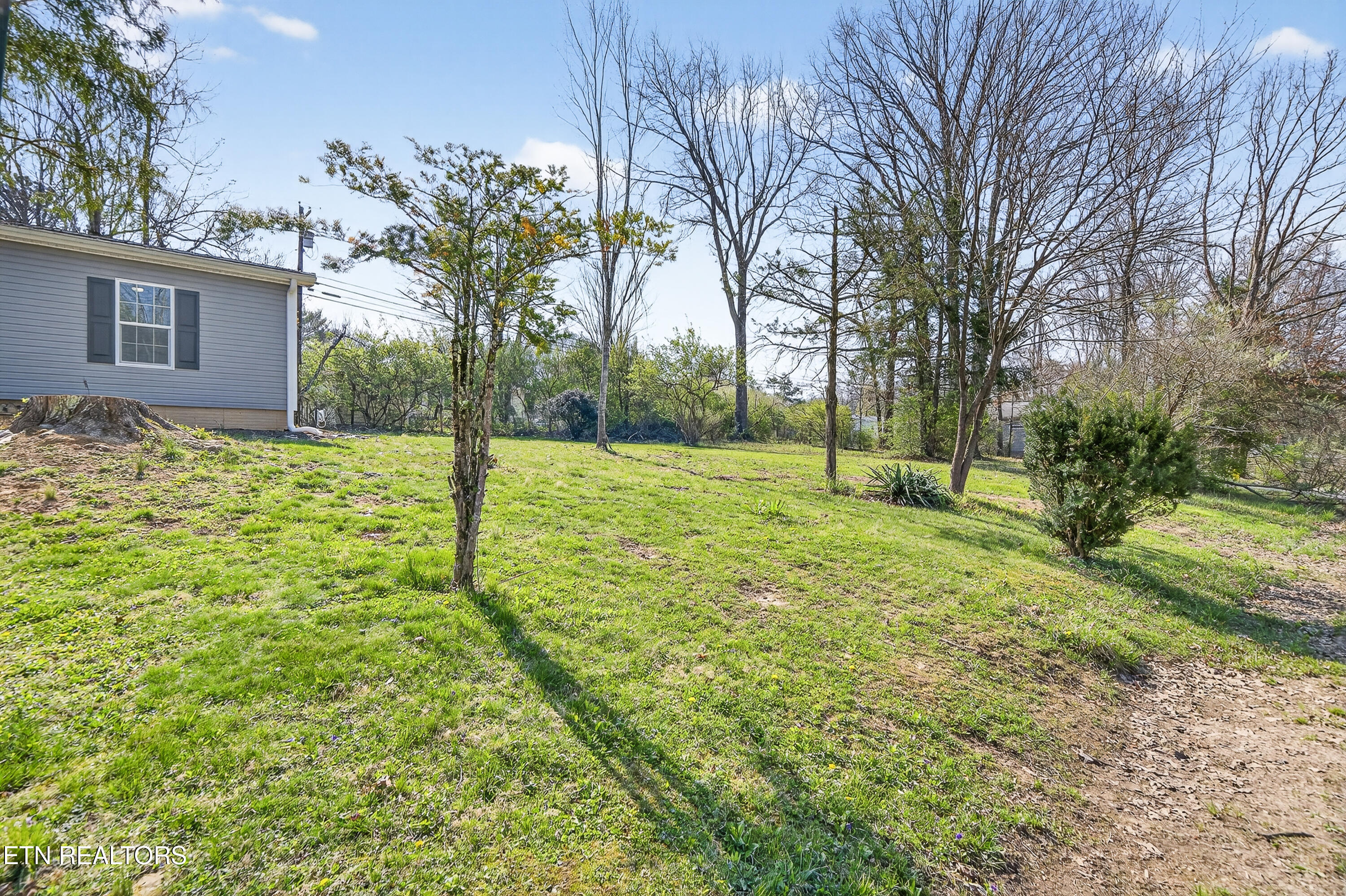 260 Rugby Road Crossville, TN 38558 - Photo 30 of 38 3-print-260 Rugby Rd FFG_017_TNPC