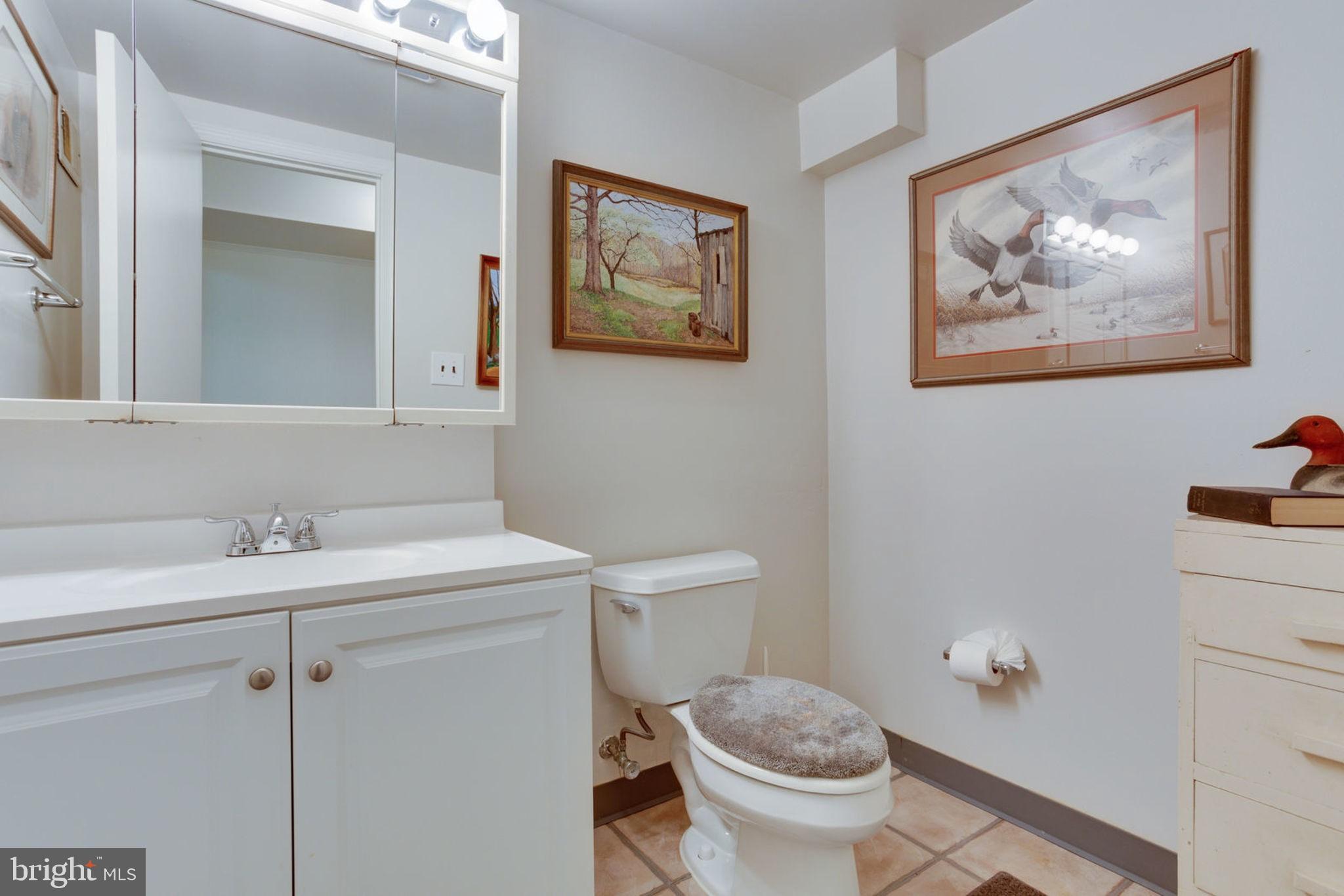 10224 Vale Road Vienna, VA 22181 - Photo 44 of 90 Gallery Image 44