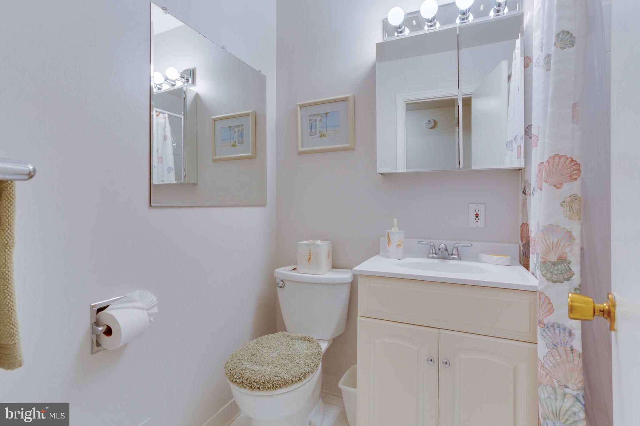 10224 Vale Road Vienna, VA 22181 - Photo 51 of 90 Gallery Image 51