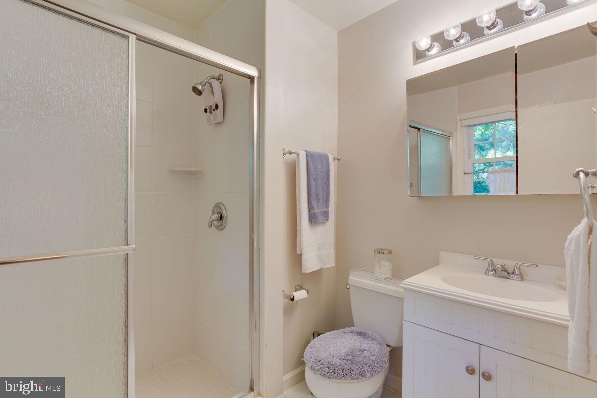 10224 Vale Road Vienna, VA 22181 - Photo 61 of 90 Gallery Image 61