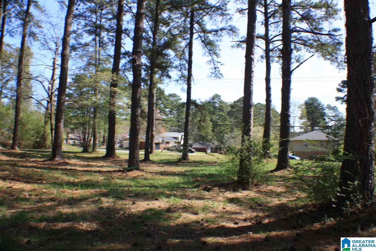 0 Coleman Road, Unit 1 Anniston, AL 36207 - Photo 15 of 32