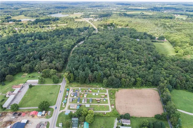 a view of a garden with a fountain