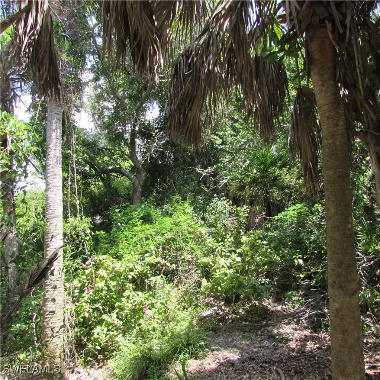 13647 Robert Road Bokeelia, FL 33922 - Photo 48 of 49 Gallery Image 48