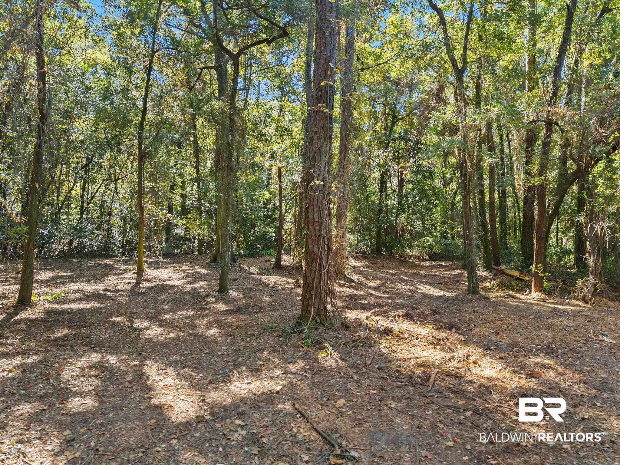 0 Wharf Street Daphne, AL 36526 - Photo 3 of 21