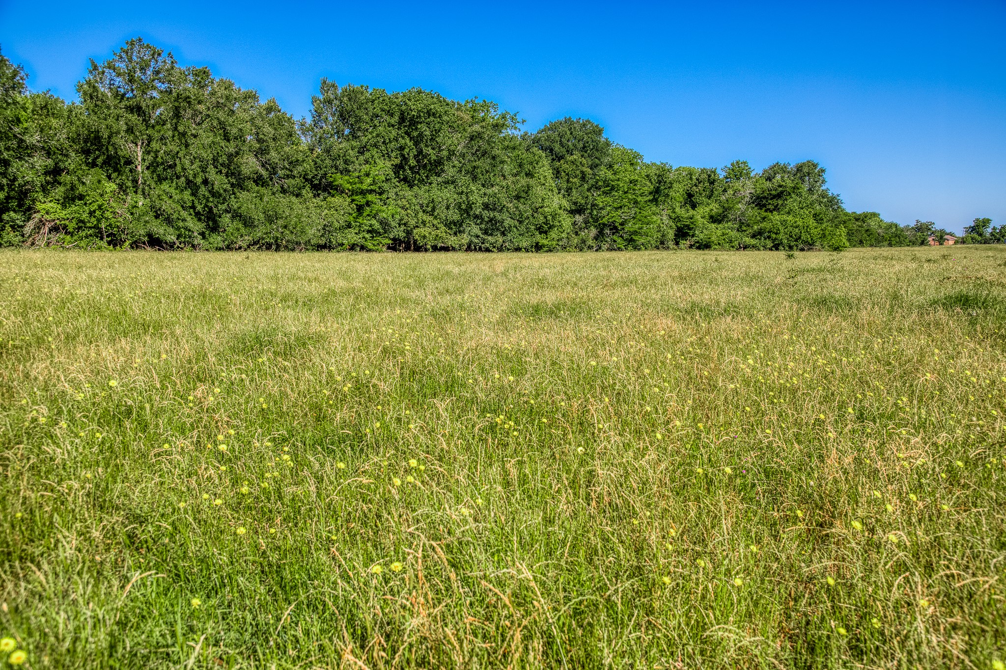 0 Flat Prairie Road Washington, TX 77880 - Photo 18 of 19
