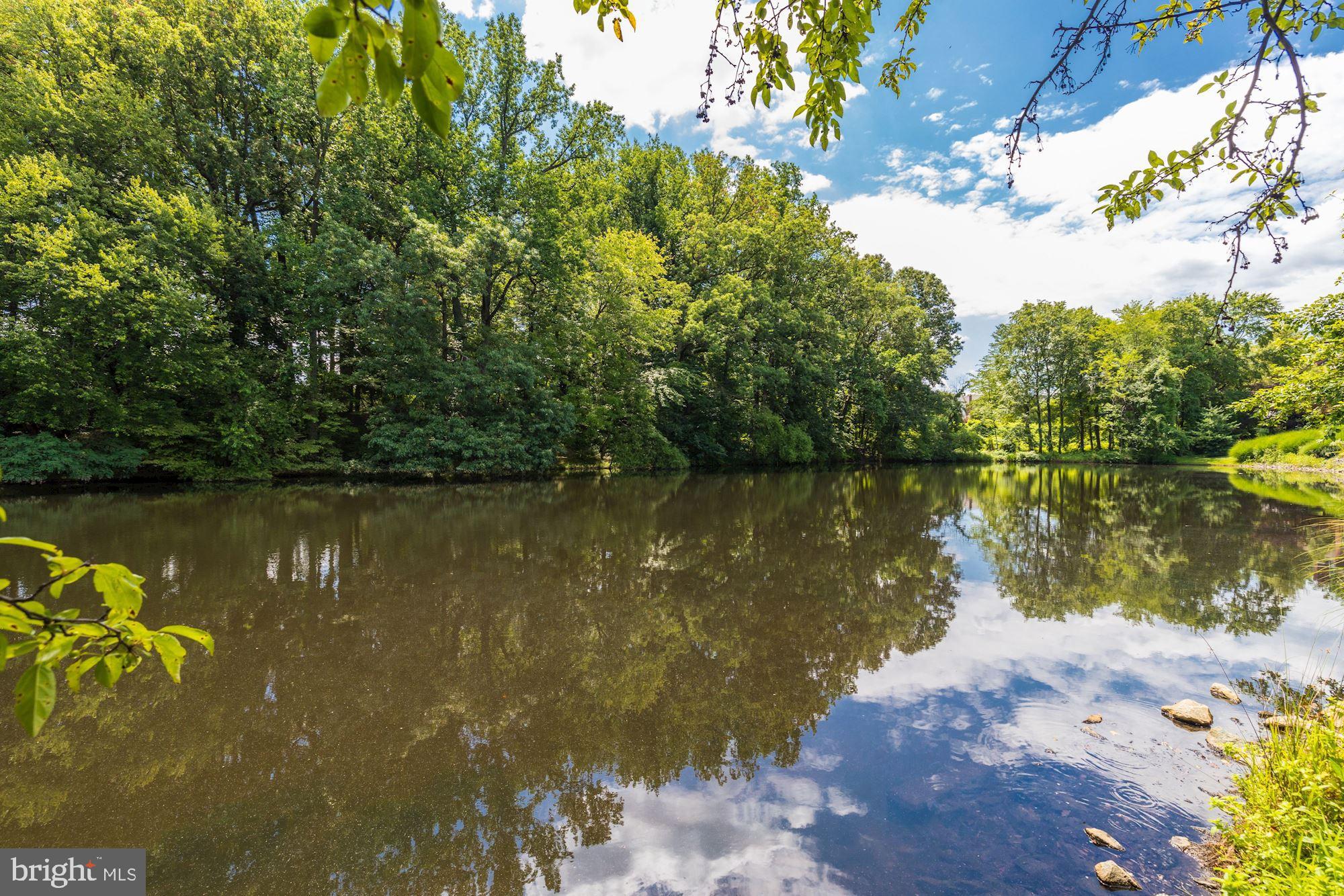 7258 Evans Mill Road McLean, VA 22101 - Photo 31 of 35 Pond