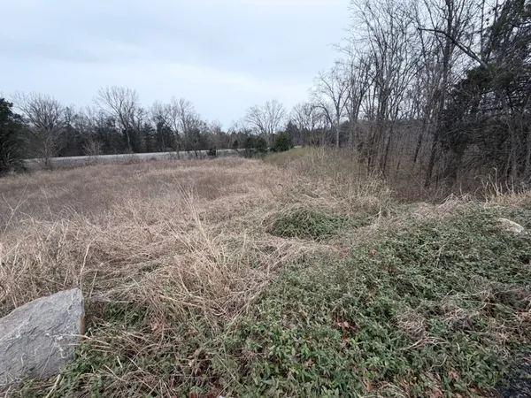 a view of a field with trees in background