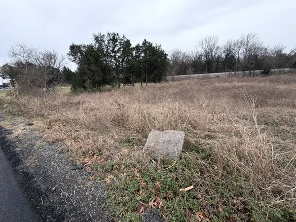 a view of a dry yard with trees