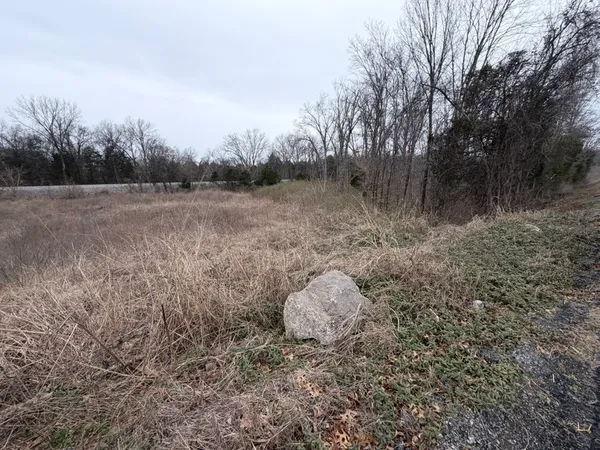 a view of a backyard of the house