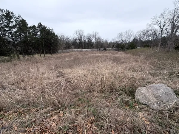 a view of a field with trees in the background
