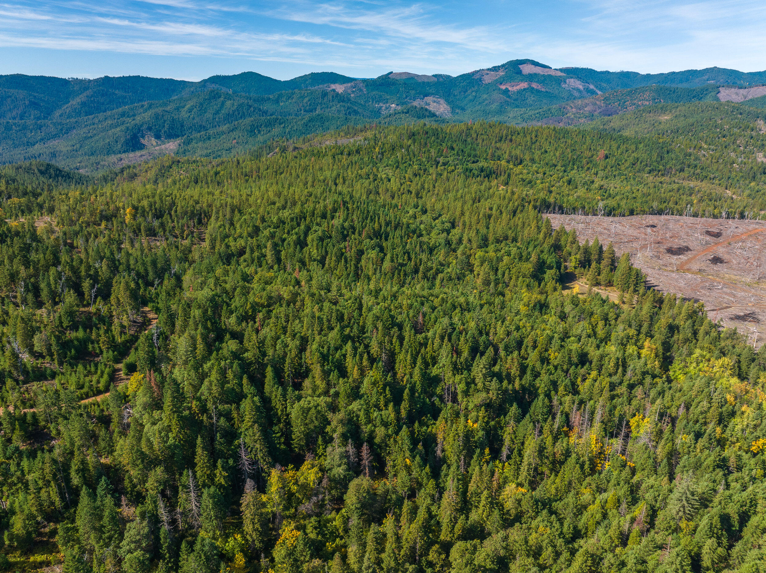 0 Long Branch Spur Road Eagle Point, OR 97524 - Photo 11 of 35 11