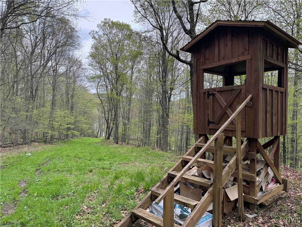 Kansas Hollow Road Bolivar, NY 14715 - Photo 11 of 35