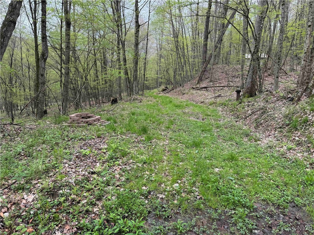 Kansas Hollow Road Bolivar, NY 14715 - Photo 12 of 35