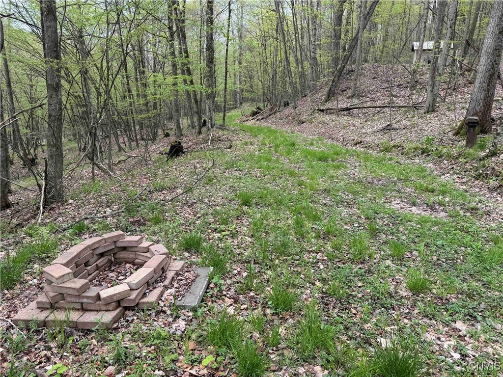 Kansas Hollow Road Bolivar, NY 14715 - Photo 13 of 35