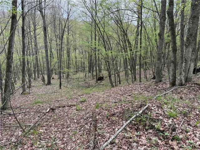 $20,000 | Kansas Hollow Road, Bolivar, NY 14715