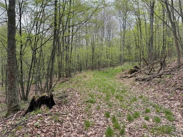 $20,000 | Kansas Hollow Road, Bolivar, NY 14715