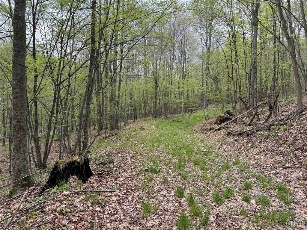 Kansas Hollow Road Bolivar, NY 14715 - Photo 15 of 35