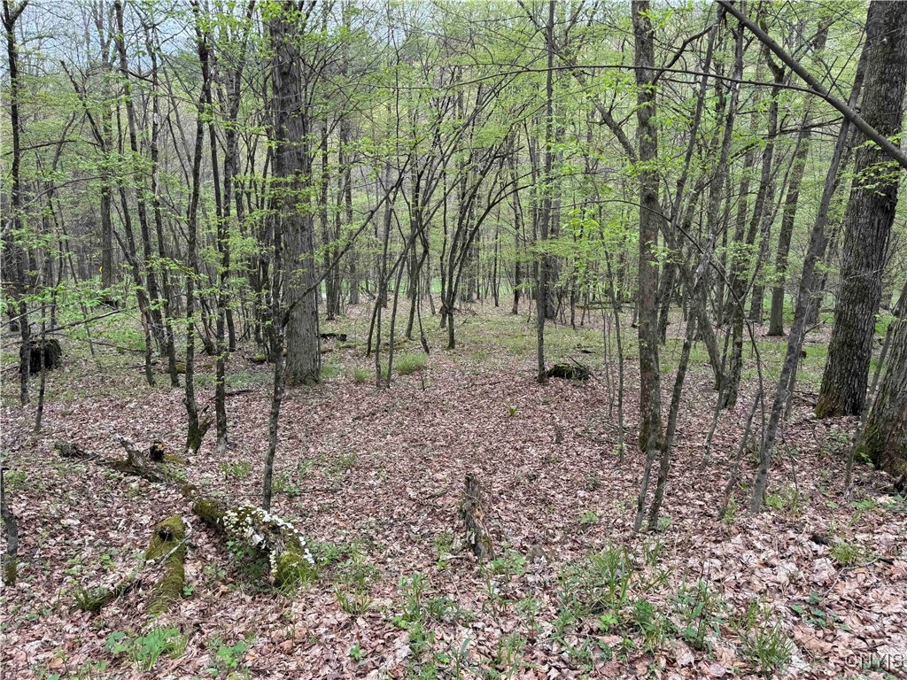 Kansas Hollow Road Bolivar, NY 14715 - Photo 16 of 35