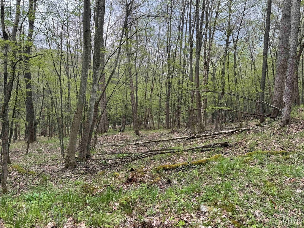 Kansas Hollow Road Bolivar, NY 14715 - Photo 17 of 35