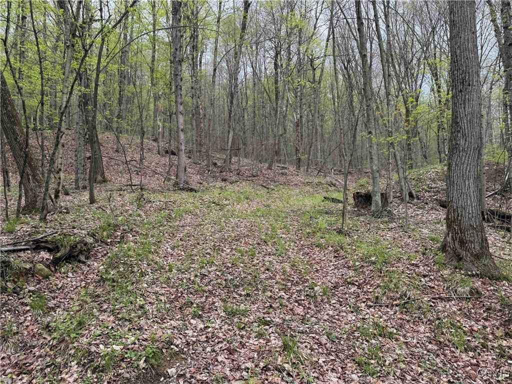 Kansas Hollow Road Bolivar, NY 14715 - Photo 19 of 35