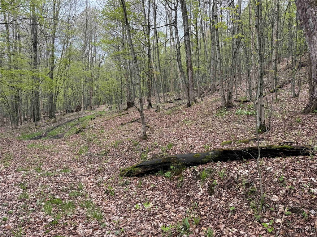 Kansas Hollow Road Bolivar, NY 14715 - Photo 20 of 35