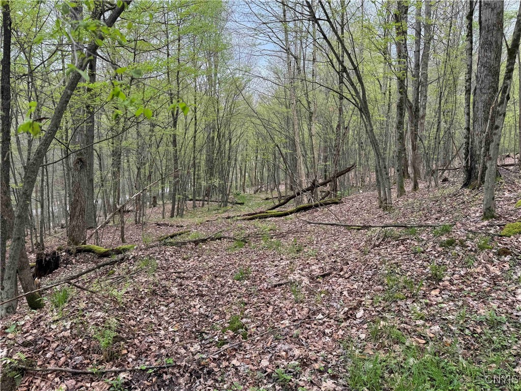 Kansas Hollow Road Bolivar, NY 14715 - Photo 21 of 35