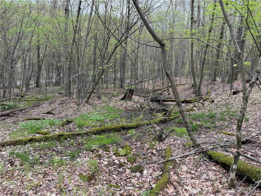 Kansas Hollow Road Bolivar, NY 14715 - Photo 22 of 35