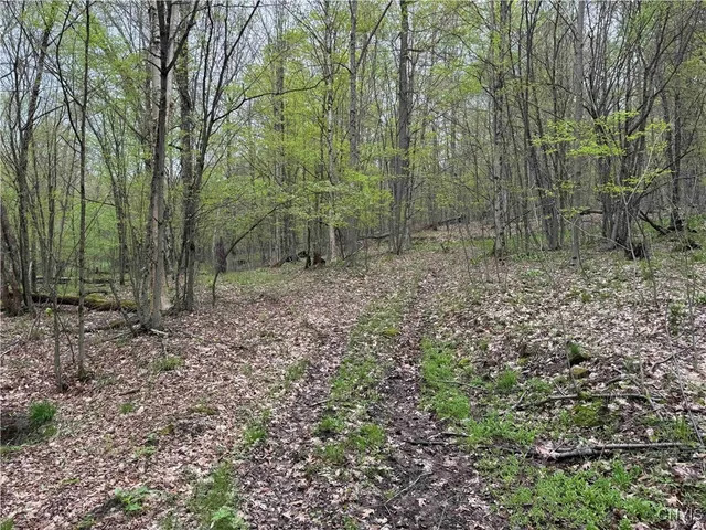 $20,000 | Kansas Hollow Road, Bolivar, NY 14715