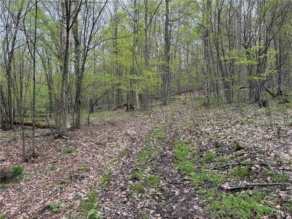 Kansas Hollow Road Bolivar, NY 14715 - Photo 23 of 35