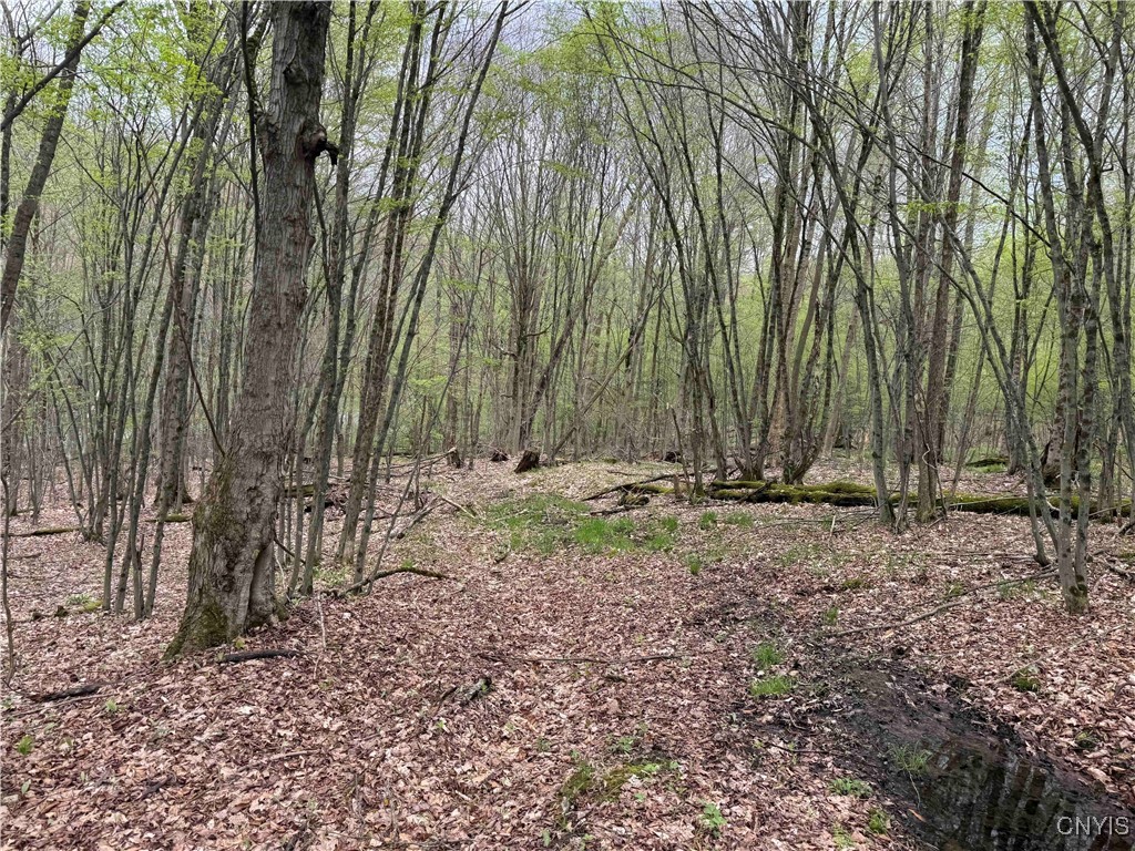 Kansas Hollow Road Bolivar, NY 14715 - Photo 24 of 35