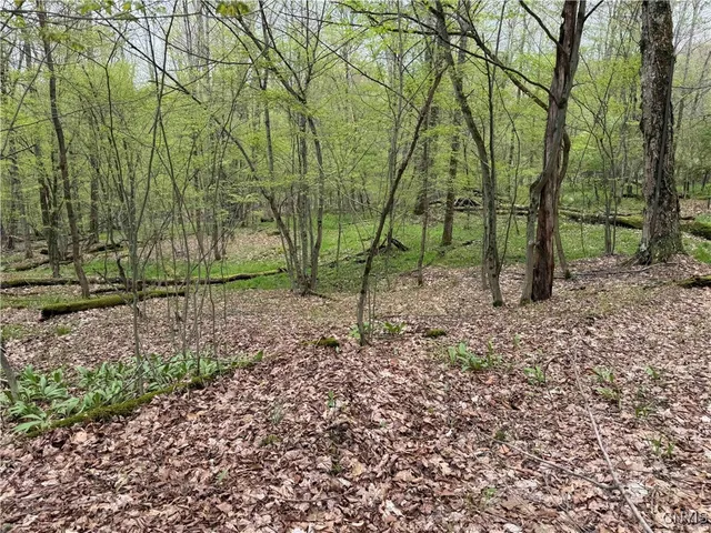 $20,000 | Kansas Hollow Road, Bolivar, NY 14715