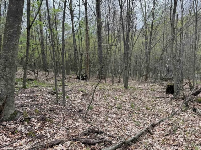 $20,000 | Kansas Hollow Road, Bolivar, NY 14715