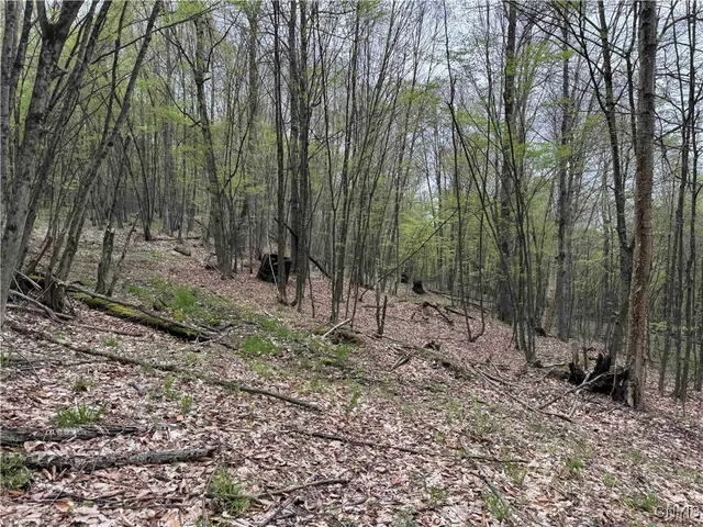 $20,000 | Kansas Hollow Road, Bolivar, NY 14715